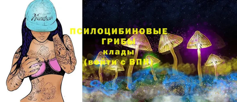 Галлюциногенные грибы Magic Shrooms  Гуково 